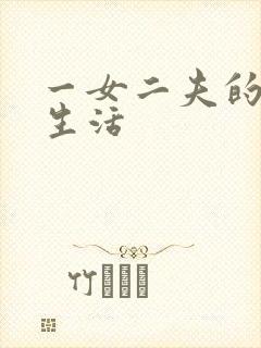 一女二夫的激情生活