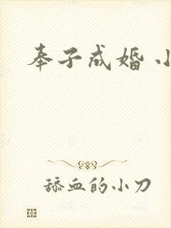 奉子成婚 小说