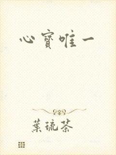 心宝唯一