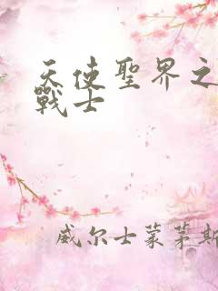 天使圣界之神之战士