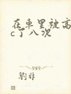 在车里被高潮被c了八次