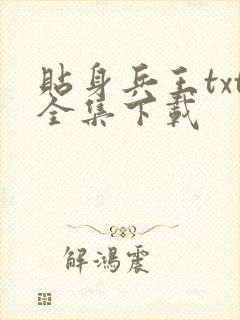 贴身兵王txt全集下载