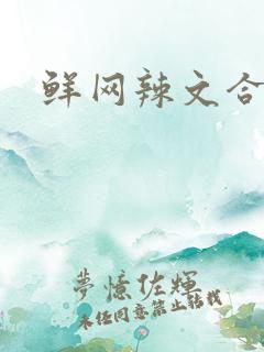 鲜网辣文合集