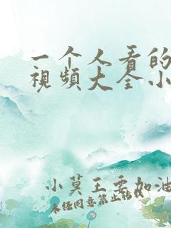 一个人看的免费视频大全小说