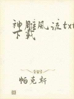 神雕风流txt下载
