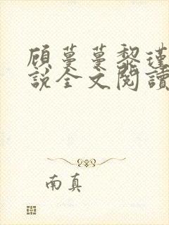 顾蔓蔓黎瑾泽小说全文阅读