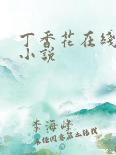 丁香花在线电影小说