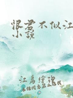 恨君不似江楼月小说