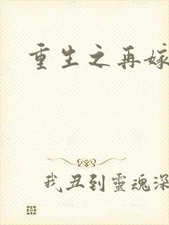 重生之再嫁前夫