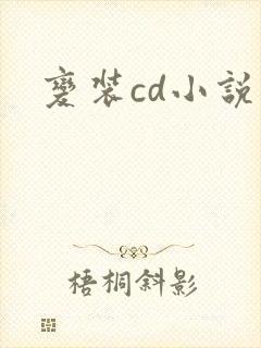 变装cd小说