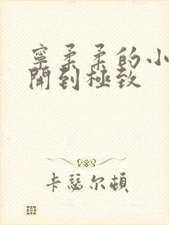 宁柔柔的小泬撑开到极致