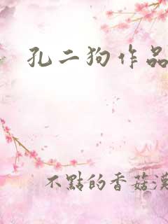 孔二狗作品