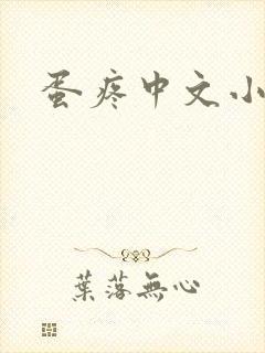 蛋疼中文小说网