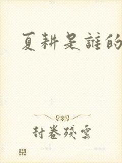 夏耕是谁的女婿