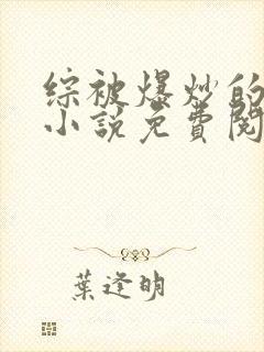 综被爆炒的日常小说免费阅读