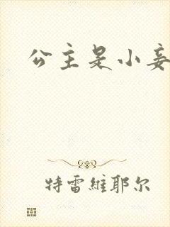 公主是小妾
