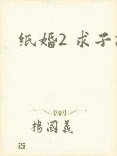 纸婚2 求子记