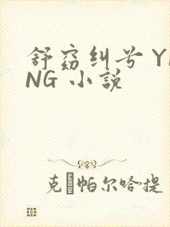 舒窈纠兮 YING 小说