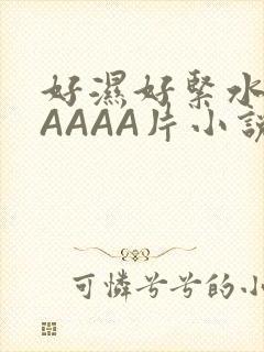 好湿好紧水多AAAAA片小说