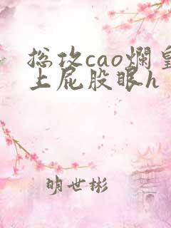 总攻cao烂皇上屁股眼h