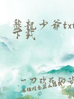 盘龙少爷txt下载