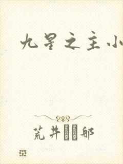 九星之主小说