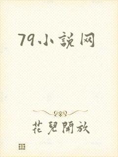 79小说网