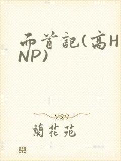 面首记(高H NP)