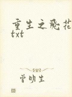 重生之飞花落照txt