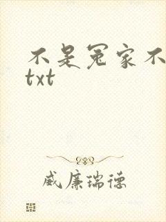 不是冤家不聚头txt