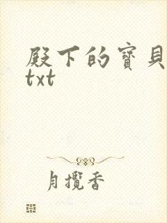 殿下的宝贝公主txt