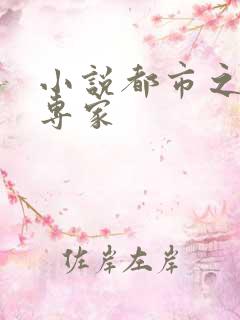 小说都市之军火专家