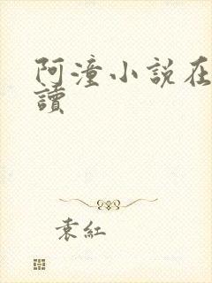 阿潼小说在线阅读