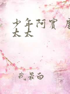 少年阿宾 房东太太