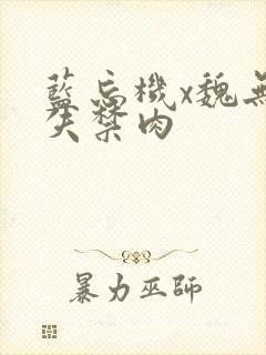 蓝忘机x魏无羡失禁肉