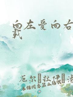 向左爱向右爱下载