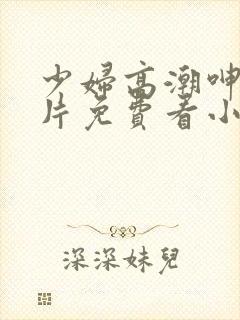 少妇高潮呻吟A片免费看小说