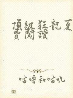 顶级狂龙夏天免费阅读
