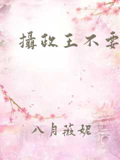 摄政王不要