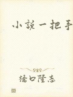 小说一把手