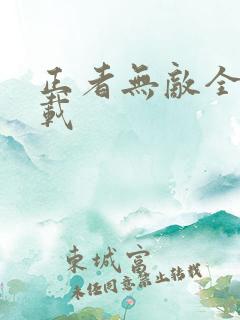 正者无敌全集下载