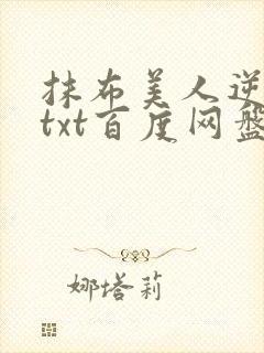 抹布美人逆袭记txt百度网盘