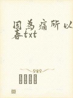 因为痛所以叫青春txt