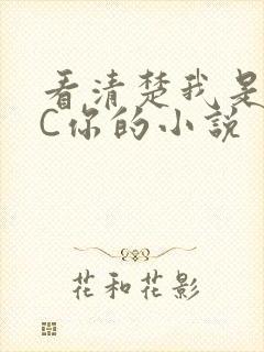 看清楚我是怎么C你的小说