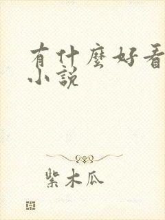 有什么好看的h小说