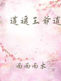 逍遥王爷逍遥妃