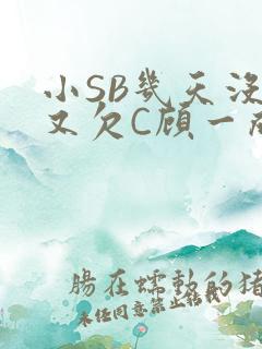 小SB几天没做又欠C顾一成视频