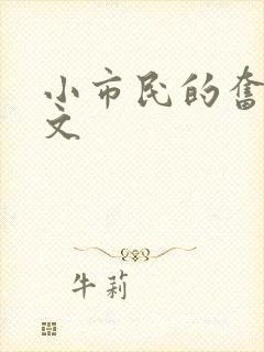 小市民的奋斗燃文