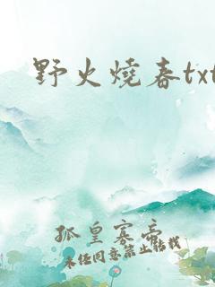 野火烧春txt
