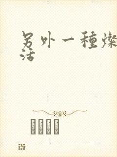 另外一种灿烂生活